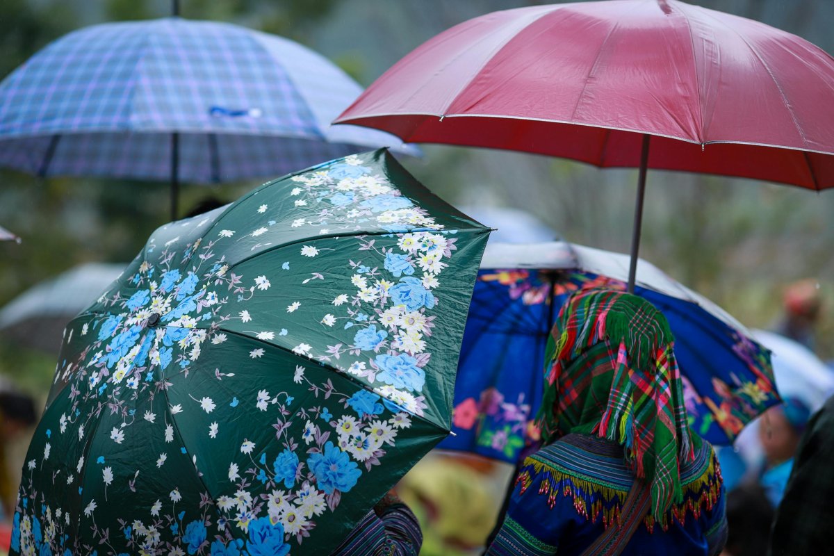 Météo France fin février-mars 2026 : encore des pluies et perturbations avant une accalmie possible