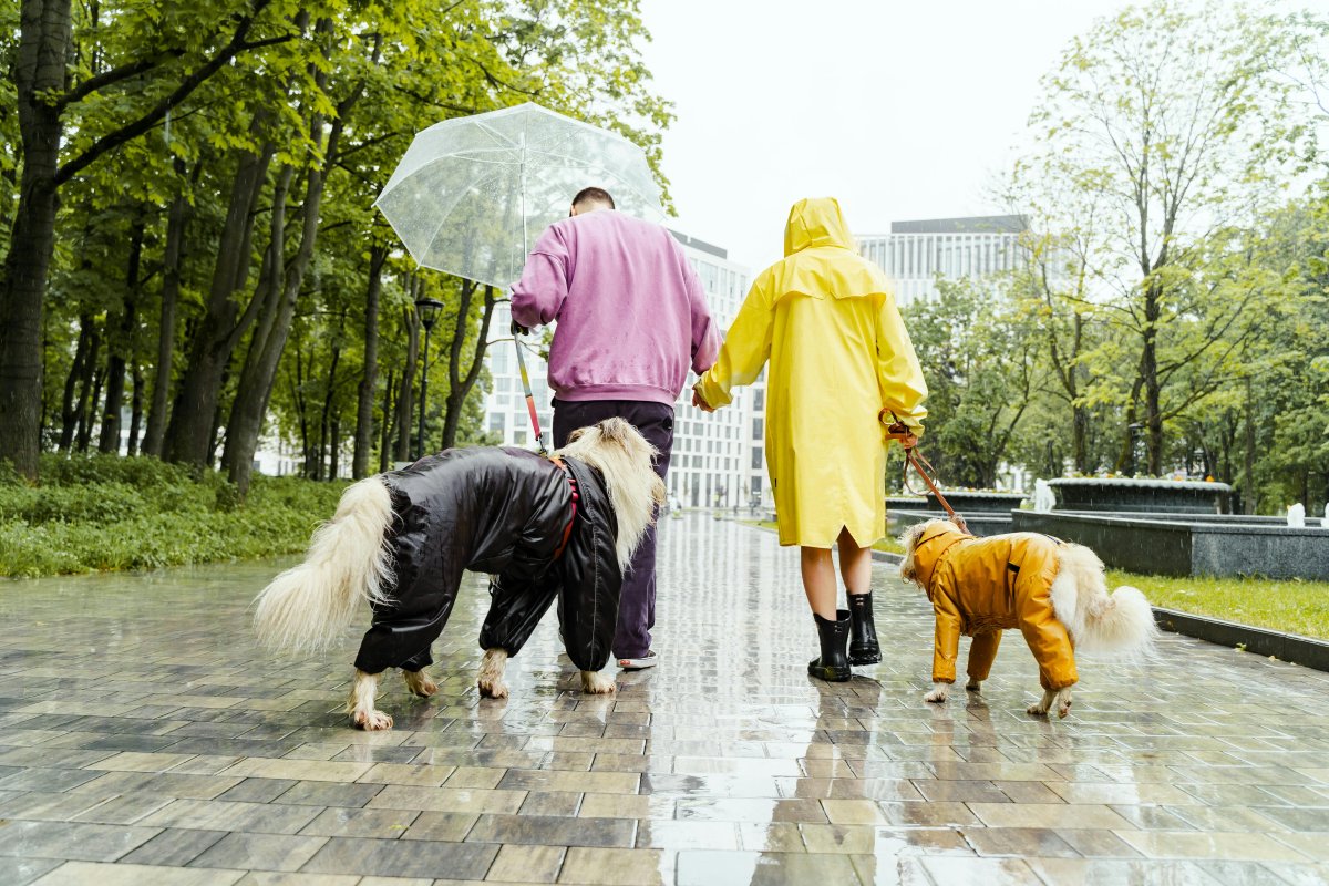 Accalmie ce week-end : enfin du soleil après 37 jours de pluie consécutifs